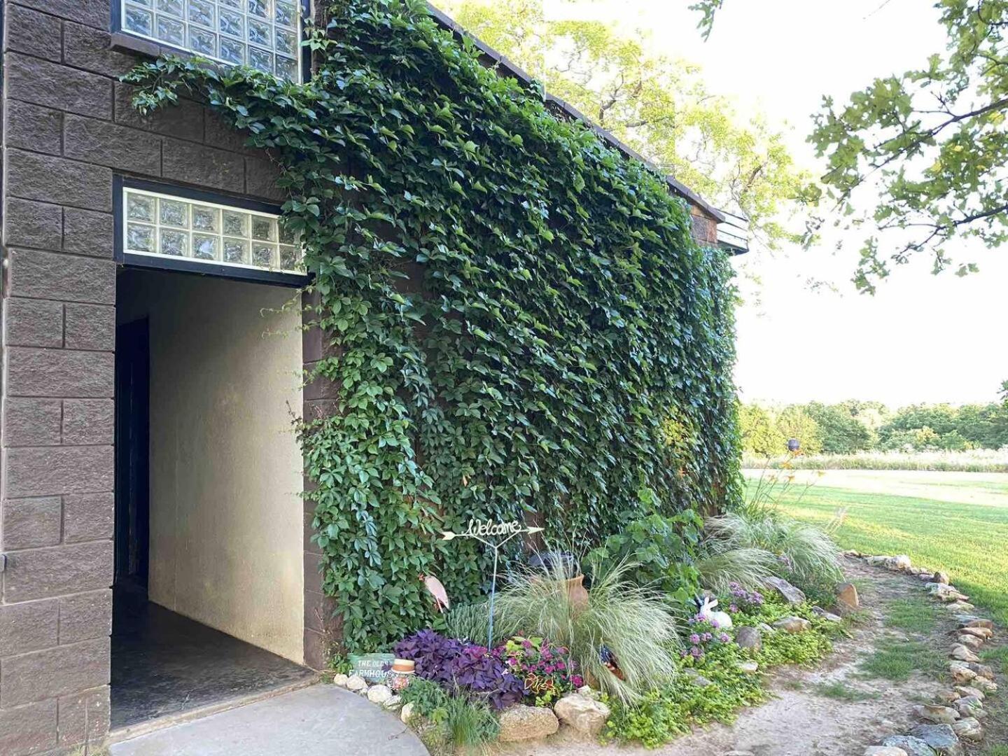 Nature Retreateclectic Country Boho Farmhouse Nocona 外观 照片