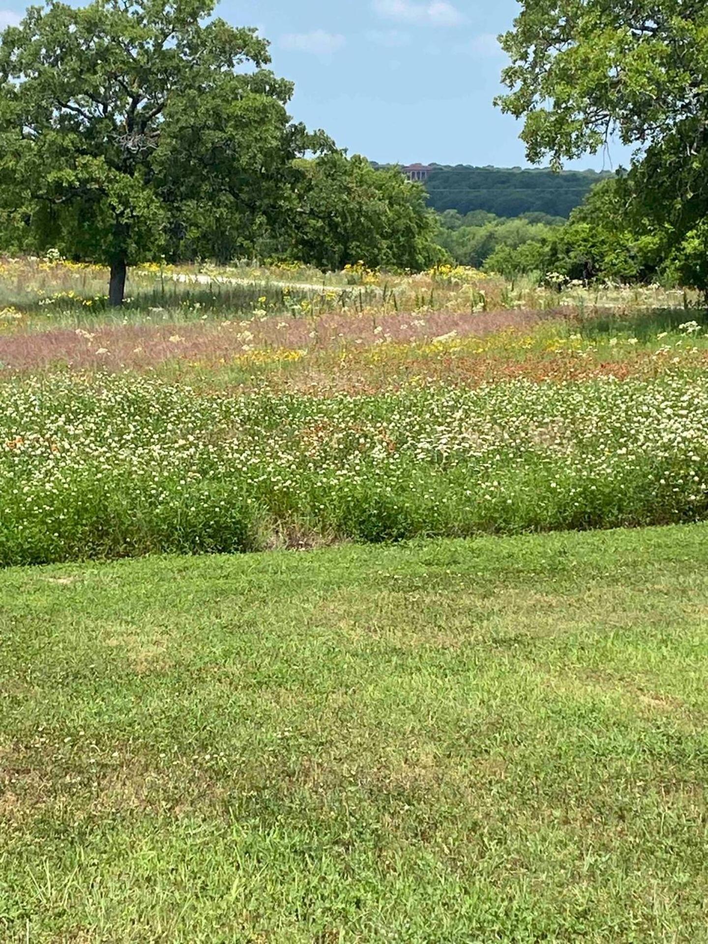 Nature Retreateclectic Country Boho Farmhouse Nocona 外观 照片