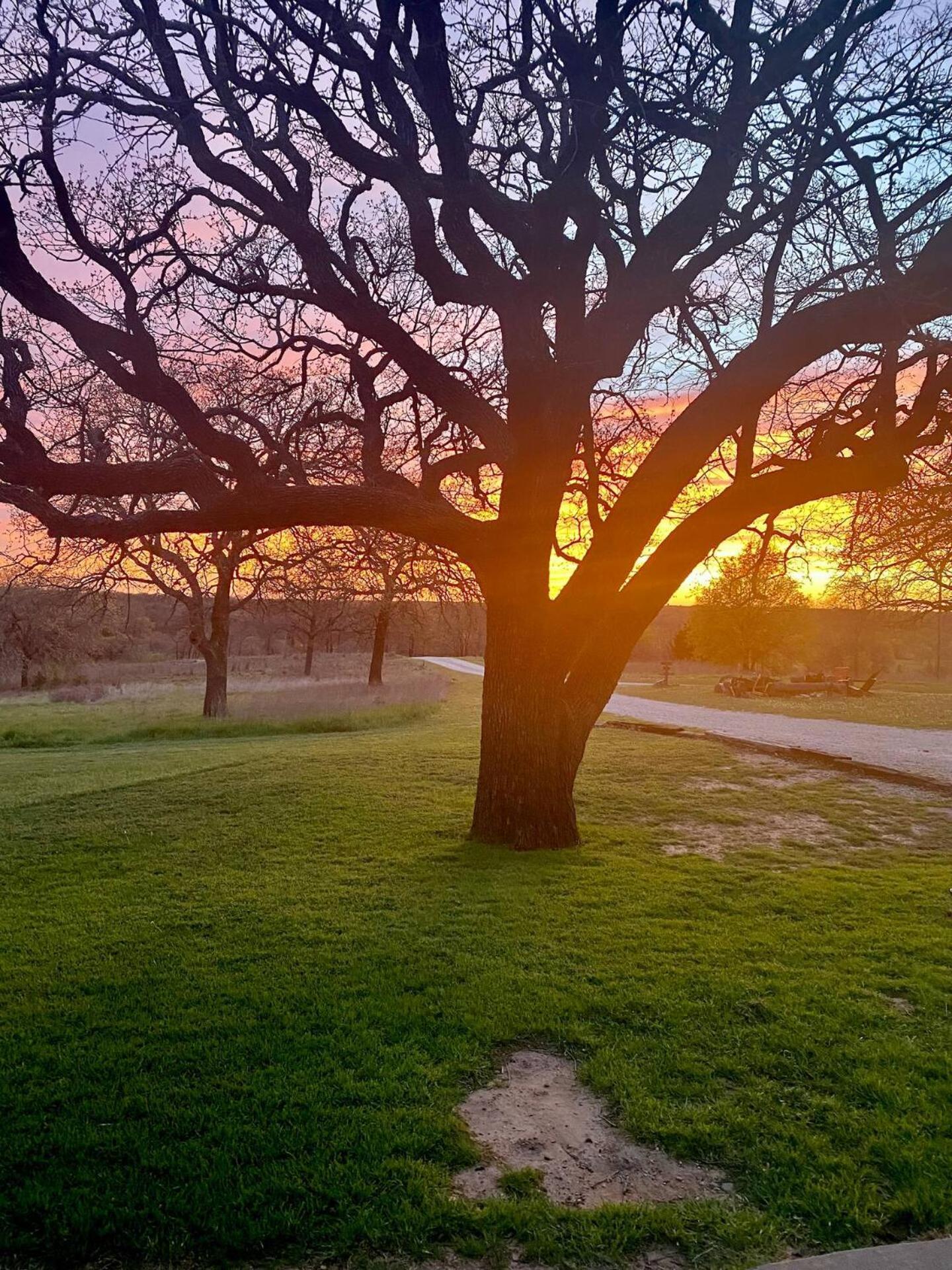 Nature Retreateclectic Country Boho Farmhouse Nocona 外观 照片