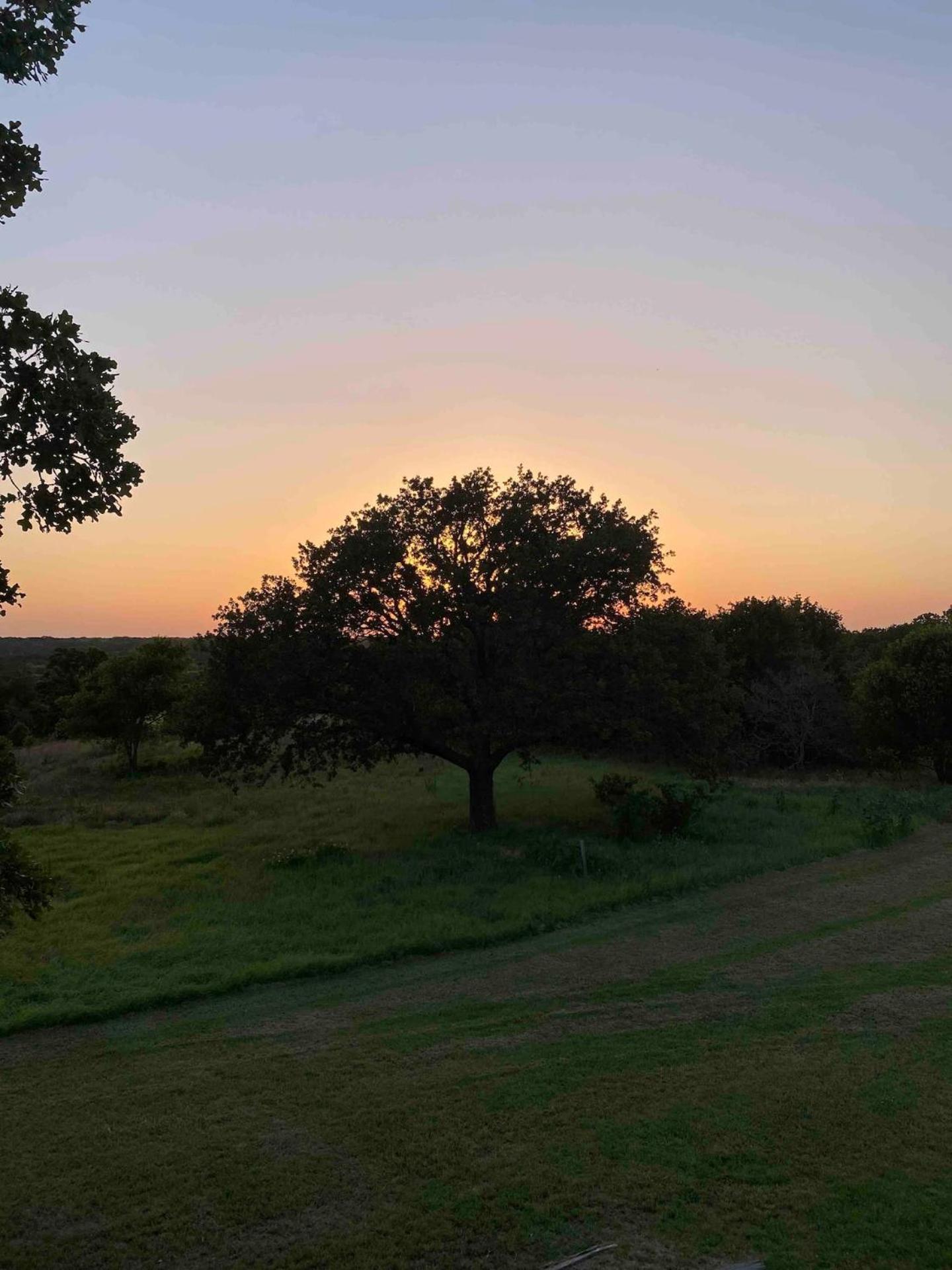 Nature Retreateclectic Country Boho Farmhouse Nocona 外观 照片