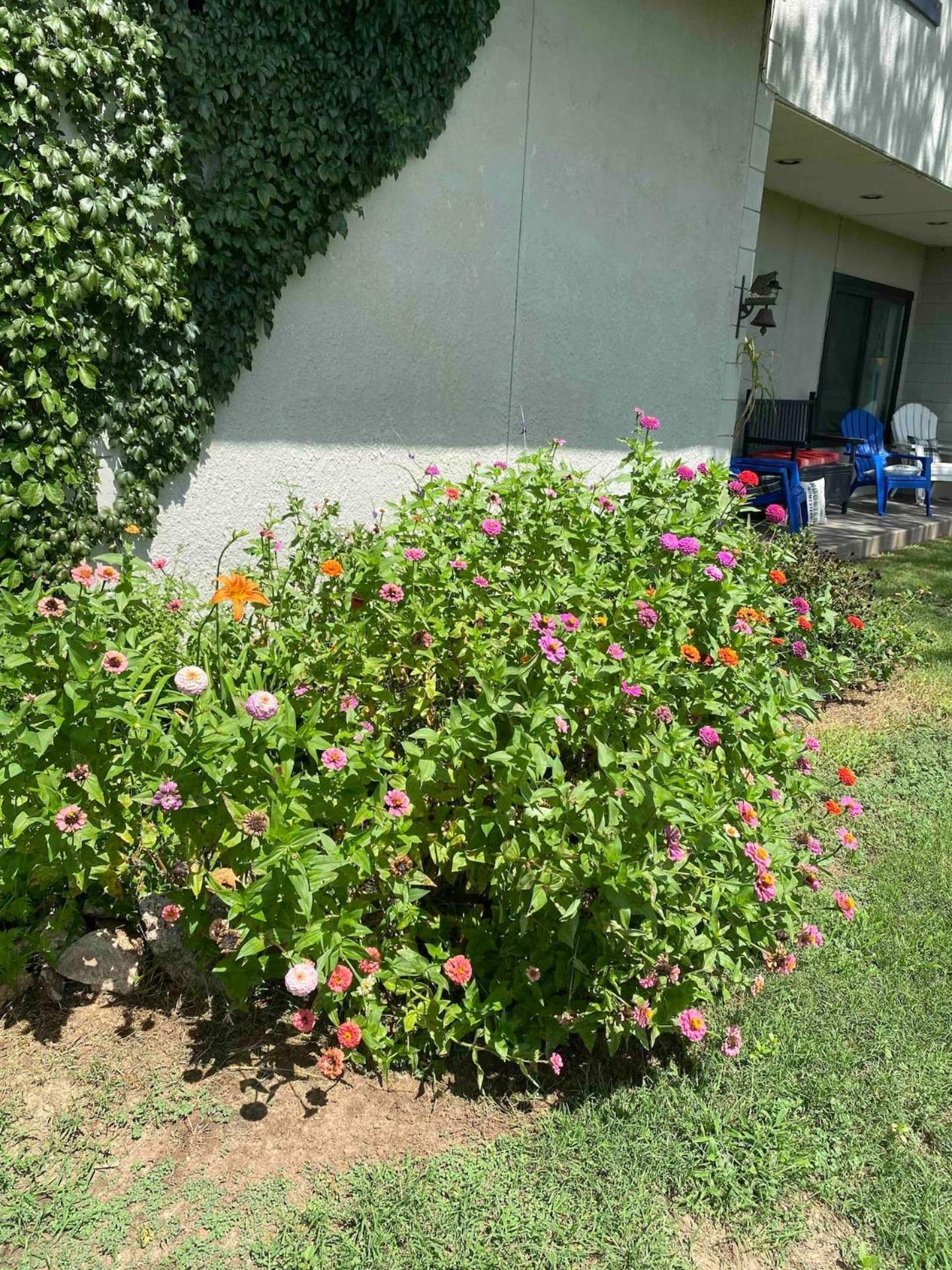 Nature Retreateclectic Country Boho Farmhouse Nocona 外观 照片